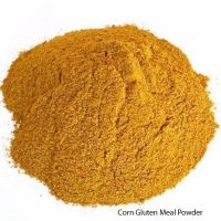 Corn Gluten Meal