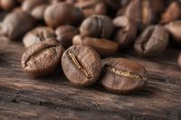 Premium Java Robusta Green Coffee