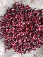 Hibiscus dry flowers