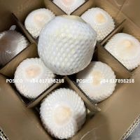 Diamond Cut Fresh Coconut From Vietnam