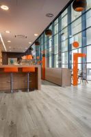 Commercial Vinyl Flooring Roll