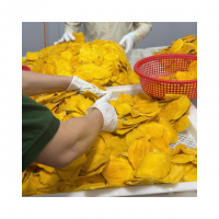 Soft Dried Mango Vietnam Premium Dried Fruit Wholesale Supplier