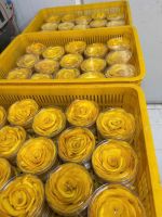Soft Dried Mango Vietnam Tropical Dried Fruit Wholesale Supplier