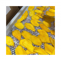 Premium Soft Dried Mango Vietnam Dried Tropical Fruit Supplier