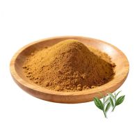 Natural Green Tea Extract Powder 98% Polyphenols & 98% EGCG