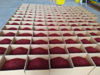 Premium Iranian Dried Barberries - Export Quality