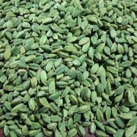 Green Cardamom, Black Cardamom