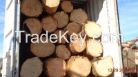 logs