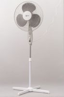 Stand Fans