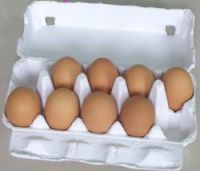 Egg Tray/egg Packaging/egg Box
