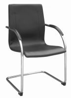 Conference Chair