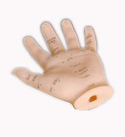 Hand Acupuncture Models