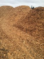 Pine And Eucalyptus Wood Chips