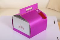Portable Cake Box