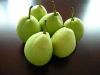 Sell Shandong pear