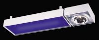 Ceiling Light