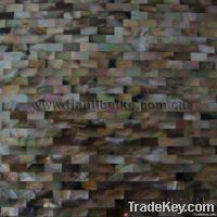tile, shell tile, shell mosaic, shell panel, freshwater shell