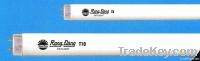 Fluorescent Lamp