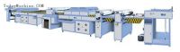 automatic UV coating machine(full coating)