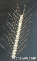 bird spike