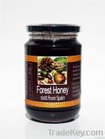 100% Forest Honey from Spain