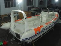 Amphibious Boat