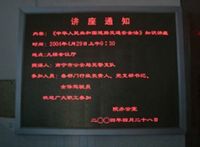 Double color LED display