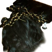 Remy Human Hair