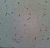Ceiling