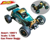 1:5 2WD Gas Power Buggy