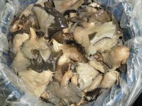 Pleurotus Ostreatus Quarters In Brine