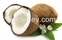 Coconut Fiber