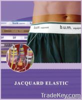 Jacquard Webbing , Elastic Waistband , Boxer Tapes