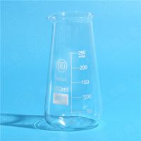Glass Beaker (conical
