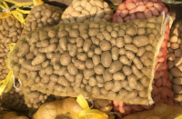 Seeds Mesh Bags