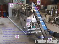 Fruit Processing Machinery