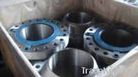 Carbon Steel Flange