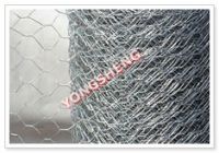 hexagonal wire mesh