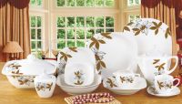 porcelain 61pcs dinner set