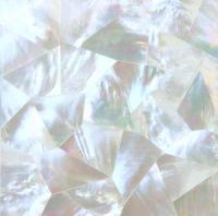 shell tiles