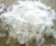 2-4Cm Washed White Duck Feather