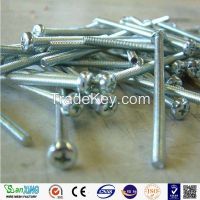 Hot-selling polished common nails/roofing nails/flat head nails from Anping Sanxing