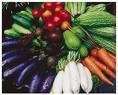 Fresh Fruits And Other Vegetables