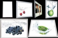 LED Light Box