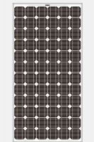 Mono Photovoltaic Module