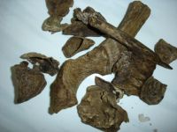 agarwood