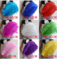 OSTRICH FEATHERS, OSTRICH EGGS ,LIVE STOCK