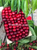 Cherry