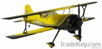 Pitts Model 12