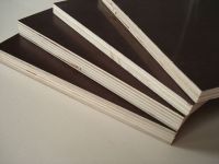 Black Film Face Plywood